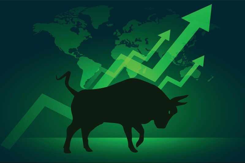 bull