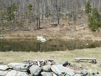 pond