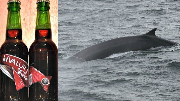 Stedji brewery's new flavour: whale testicle. (Stedji/Wikipedia)