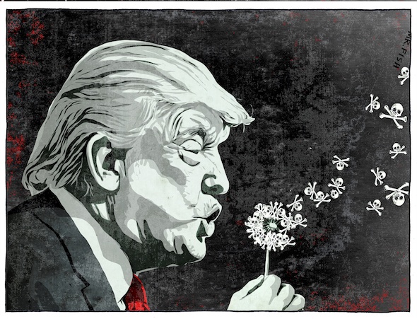 Mr. Fish / Truthdig