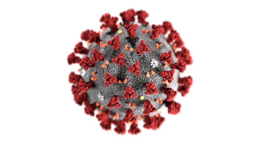 Coronavirus