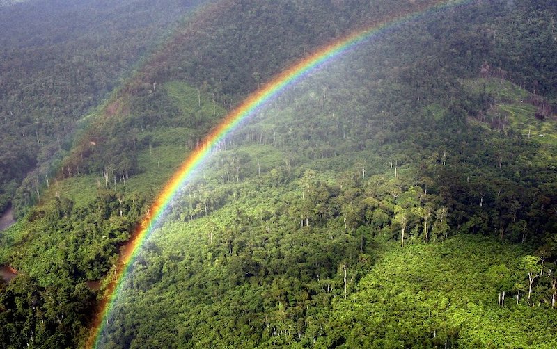 Returning wetlands to their natural state would bring the highest return on investment, both in preventing species loss and slowing the pace of global warming.