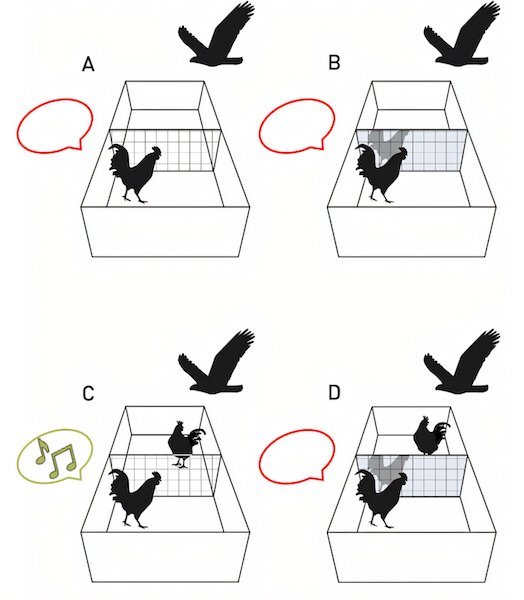 Why Are Some Species Conscious While Others Remain ...