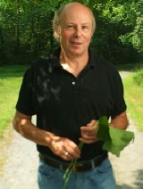 kunstler-green-160